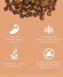 Go! Solutions Digestive + Gut Health Salmon Recipe with Ancient Grains for Cats, 3-lb bag slide 2 of 7