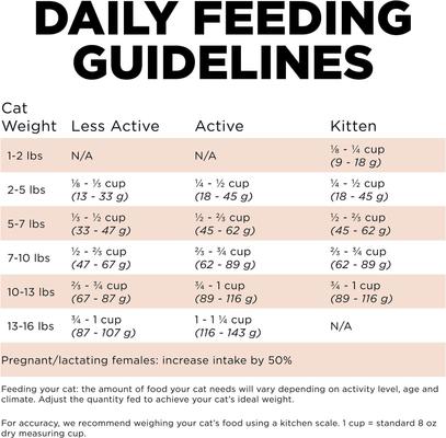 Show full view: Go! Solutions Digestive + Gut Health Salmon Recipe with Ancient Grains for Cats, 3-lb bag slide 6 of 9