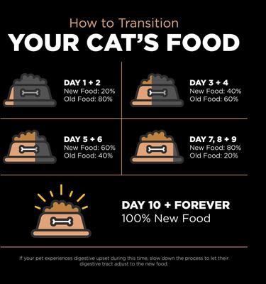 Show full view: Go! Solutions Digestive + Gut Health Salmon Recipe with Ancient Grains for Cats, 3-lb bag slide 7 of 9