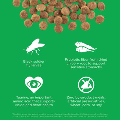 Show full view: Go! Solutions Sensitivities Limited Ingredient Grain-Free Insect Recipe Dry Dog Food, 12-lb bag slide 4 of 11