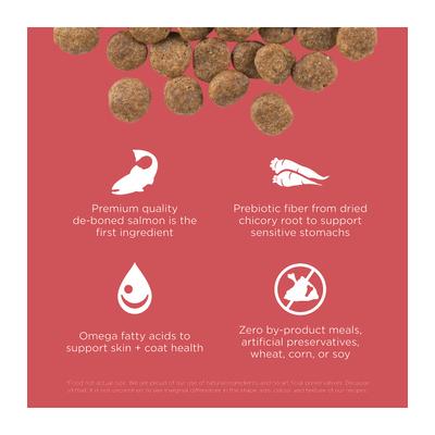 Show full view: Go! Solutions Sensitivities Limited Ingredient Salmon Grain-Free Dry Dog Food, 12-lb bag slide 4 of 12