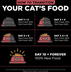 Go! Solutions Sensitivities Limited Ingredient Salmon Recipe Grain-Free Dry Cat Food, 12-lb bag slide 2 of 9