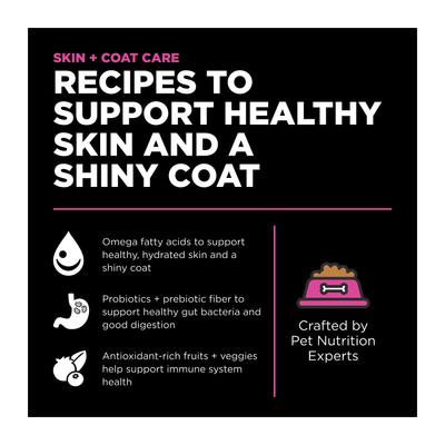 Show full view: Go! Solutions Skin + Coat Care Chicken Recipe Dry Cat Food, 16-lb bag slide 3 of 11