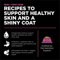 Go! Solutions Skin + Coat Care Chicken Recipe Dry Cat Food, 3-lb bag slide 2 of 9