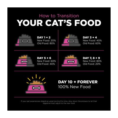 Show full view: Go! Solutions Skin + Coat Care Chicken Recipe Dry Cat Food, 3-lb bag slide 9 of 11