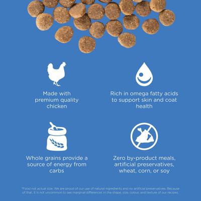 Show full view: Go! Solutions Skin + Coat Care Chicken Recipe Dry Dog Food, 22-lb bag slide 4 of 12