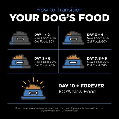 Show full view: Go! Solutions Skin + Coat Care Chicken Recipe Dry Dog Food, 22-lb bag slide 10 of 12