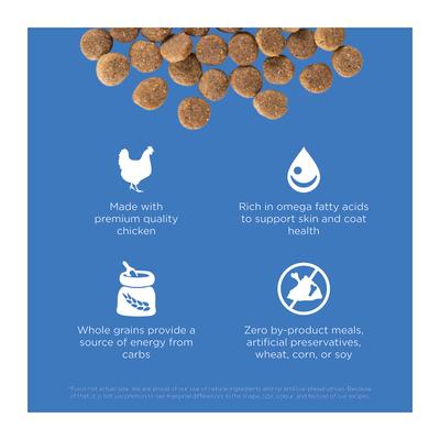 Show full view: Go! Solutions Skin + Coat Care Chicken Recipe Dry Dog Food, 3.5-lb bag slide 4 of 12