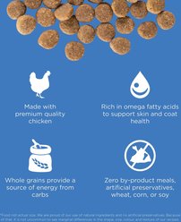 Go! Solutions Skin + Coat Care Chicken Recipe Dry Dog Food, 44-lb bundle slide 2 of 9