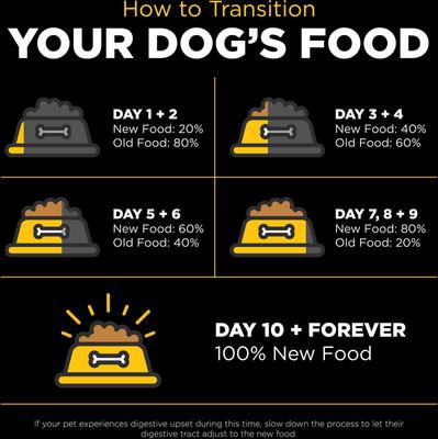 Show full view: Go! Solutions Skin + Coat Care Duck Recipe Dry Dog Food, 3.5-lb bag slide 10 of 12