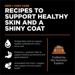 Go! Solutions Skin + Coat Care Grain-Free Salmon Recipe Dry Cat Food, 16-lb bag slide 2 of 9
