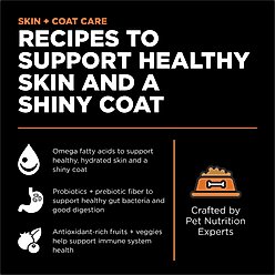 Go! Solutions Skin + Coat Care Grain-Free Salmon Recipe Dry Cat Food, 8-lb bag slide 2 of 9