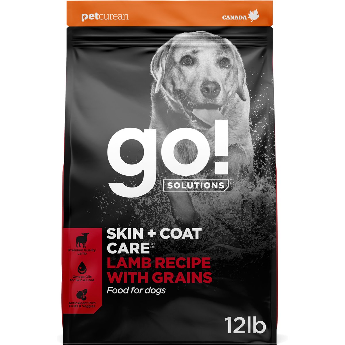 Go! Solutions Skin + Coat Care Lamb Recipe Dry Dog Food, 12-lb bag