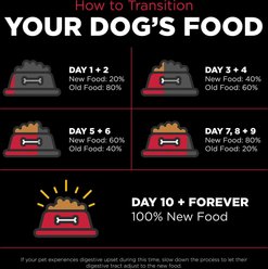 Go! Solutions Skin + Coat Care Lamb Recipe Dry Dog Food, 22-lb bag slide 2 of 9