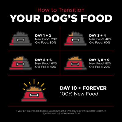 Show full view: Go! Solutions Skin + Coat Care Lamb Recipe Dry Dog Food, 22-lb bag slide 10 of 12