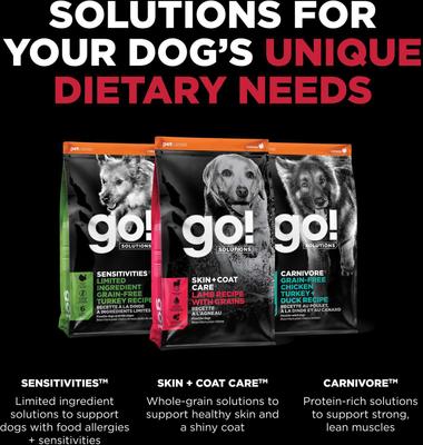 Go! Solutions Skin + Coat Care Lamb Recipe Dry Dog Food