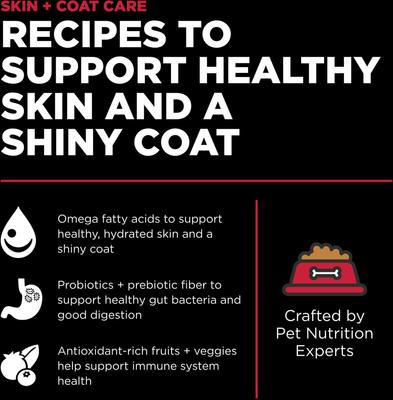 Go! Solutions Skin + Coat Care Lamb Recipe Dry Dog Food