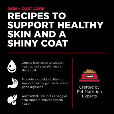 Show full view: Go! Solutions Skin + Coat Care Lamb Recipe Dry Dog Food, 22-lb bag slide 3 of 12