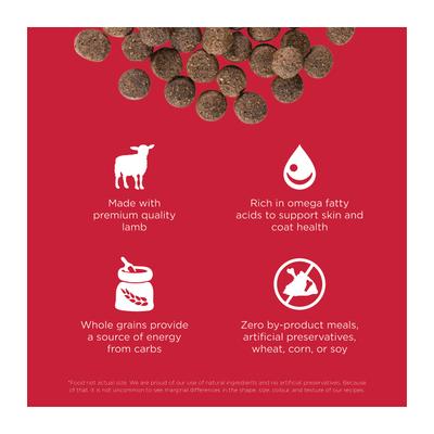 Show full view: Go! Solutions Skin + Coat Care Lamb Recipe Dry Dog Food, 3.5-lb bag slide 4 of 12