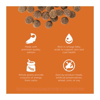 Show full view: Go! Solutions Skin + Coat Care Salmon Recipe Dry Dog Food, 12-lb bag slide 4 of 12