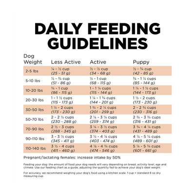 Show full view: Go! Solutions Skin + Coat Care Salmon Recipe Dry Dog Food, 12-lb bag slide 9 of 12