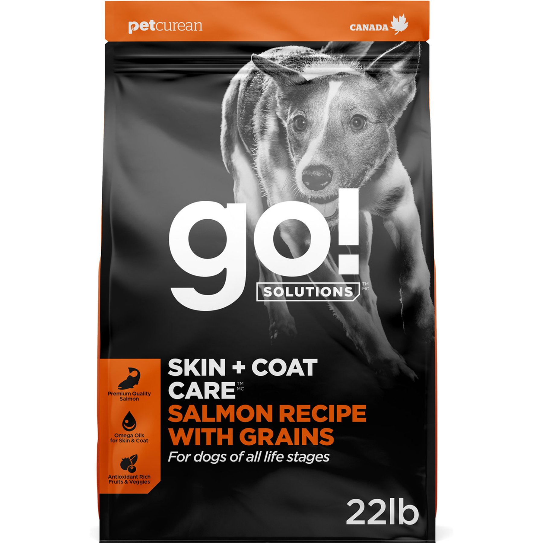 Go! Solutions Skin + Coat Care Salmon Recipe Dry Dog Food, 22-lb bag