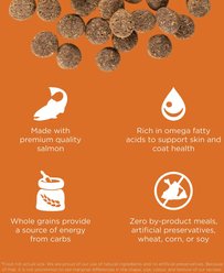 Go! Solutions Skin + Coat Care Salmon Recipe Dry Dog Food, 22-lb bag slide 2 of 9