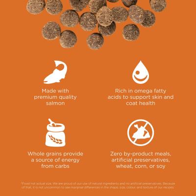 Show full view: Go! Solutions Skin + Coat Care Salmon Recipe Dry Dog Food, 22-lb bag slide 4 of 12