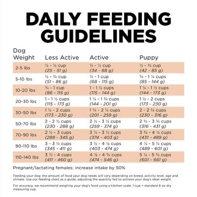 Show full view: Go! Solutions Skin + Coat Care Salmon Recipe Dry Dog Food, 22-lb bag slide 9 of 12