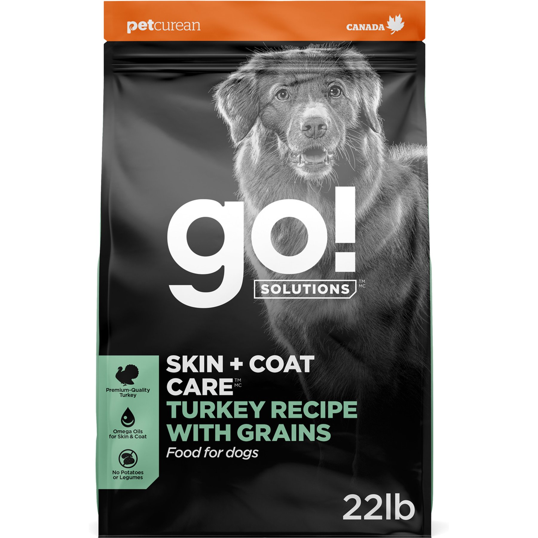 Go! Solutions Skin + Coat Care Turkey Recipe Dry Dog Food, 22-lb bag