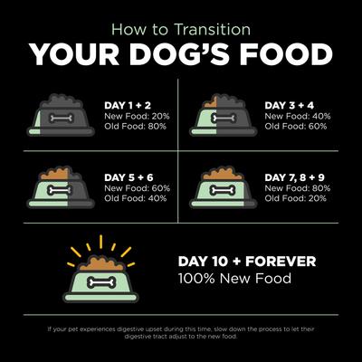 Show full view: Go! Solutions Skin + Coat Care Turkey Recipe Dry Dog Food, 22-lb bag slide 10 of 11
