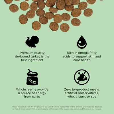 Show full view: Go! Solutions Skin + Coat Care Turkey Recipe Dry Dog Food, 22-lb bag slide 4 of 11