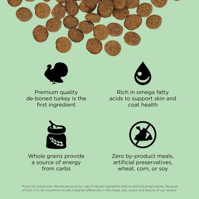 Show full view: Go! Solutions Skin + Coat Care Turkey Recipe Dry Dog Food, 3.5-lb bag slide 4 of 11