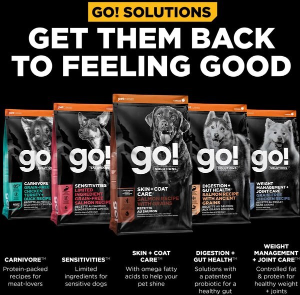 Go! Solutions Skin + Coat with Grains Adult Large Breed Recipe Dry Dog Food
