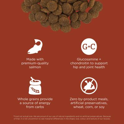 Show full view: Go! Solutions Skin + Coat with Grains Adult Large Breed Recipe Dry Dog Food, 25-lb bag slide 5 of 12