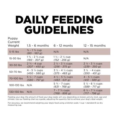 Show full view: Go! Solutions Skin + Coat with Grains Puppy Large Breed Recipe Dry Dog Food, 12-lb bag slide 9 of 12