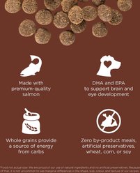 Go! Solutions Skin + Coat with Grains Puppy Large Breed Recipe Dry Dog Food, 25-lb bag slide 2 of 9