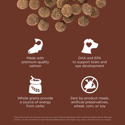 Show full view: Go! Solutions Skin + Coat with Grains Puppy Large Breed Recipe Dry Dog Food, 25-lb bag slide 5 of 12