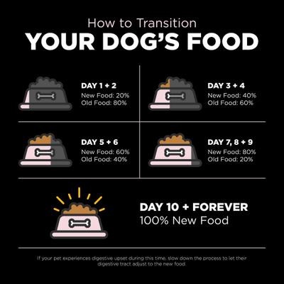 Show full view: Go! Solutions Small Bites Limited Ingredient Grain-Free Salmon Recipe Dry Dog Food, 22-lb bag slide 10 of 11