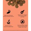 Show in main carousel: Go! Solutions Weight Management + Joint Care Adult Grain-Free Salmon Recipe Dry Dog Food, 22-lb bag slide 6 of 11