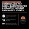 Show in main carousel: Go! Solutions Weight Management + Joint Care Adult Grain-Free Salmon Recipe Dry Dog Food, 22-lb bag slide 7 of 11