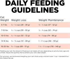 Go! Solutions Weight Management + Joint Care Salmon Recipe Grain-Free Dry Cat Food, 12-lb bag slide 2 of 9