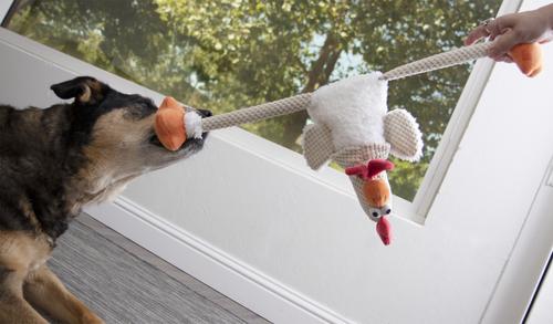 Show full view: GoDog Checkers Chew Guard Rooster Squeaky Plush Dog Toy, Skinny Large slide 2 of 10