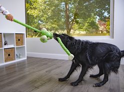 GoDog Crazy Tugs Monkey Chew Guard Dog Toy, Lime, Large slide 2 of 5