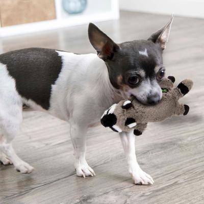 Show full view: GoDog Flatz Raccoon Dog Toy, Grey, Small slide 2 of 8