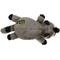 Show in main carousel: GoDog Flatz Raccoon Squeaky Plush Dog Toy, Brown, Large slide 3 of 8