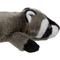 Show in main carousel: GoDog Flatz Raccoon Squeaky Plush Dog Toy, Brown, Large slide 4 of 8