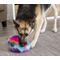 Show in main carousel: GoDog Furballz Chew Guard Squeaky Plush Dog Toy, Large, Bright Rainbow slide 2 of 11