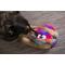 Show in main carousel: GoDog Furballz Chew Guard Squeaky Plush Dog Toy, Large, Bright Rainbow slide 4 of 11
