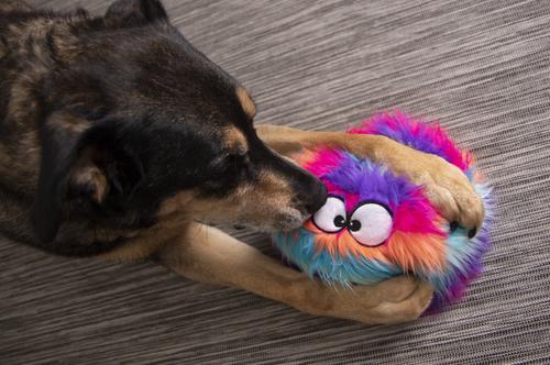 Show full view: GoDog Furballz Chew Guard Squeaky Plush Dog Toy, Large, Bright Rainbow slide 4 of 11